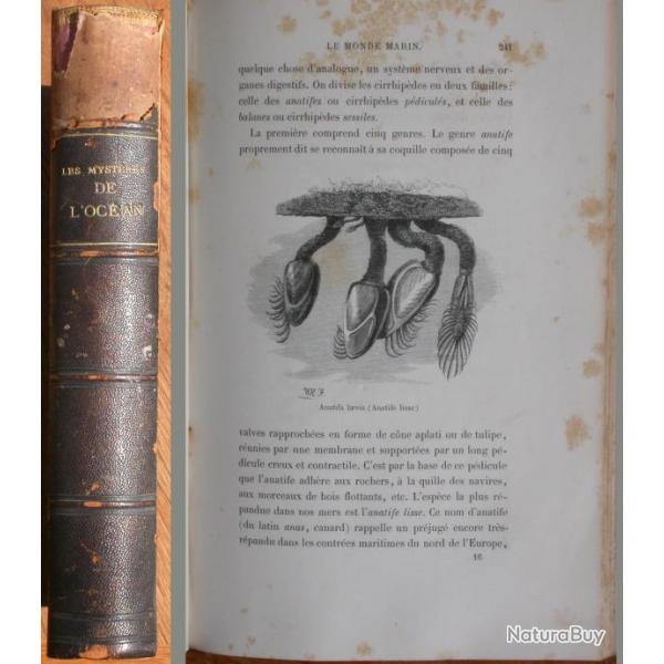 Les mystres de l'ocan - Arthur Mangin - 1865 La mer les poissons les mares