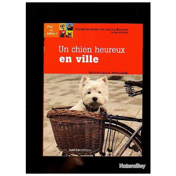 Un chien heureux en ville