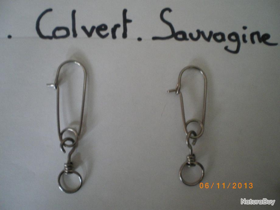 punaise d eau 4 lettres