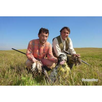 Chasse des Cailles au Chien d'Arrêt en Bosnie - Voyage de Chasse des Cailles au Chien d'Arrêt en Bosnie - Voyage de