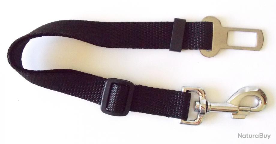 Laisse Stepland Pour Chien Avec Boucle Ceinture Pour Voiture +