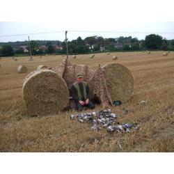 Angleterre : Chasse aux Pigeons - Forfait 3 Jours