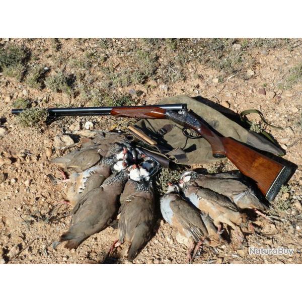 Espagne : Chasse du Petit gibier au chien d'arret