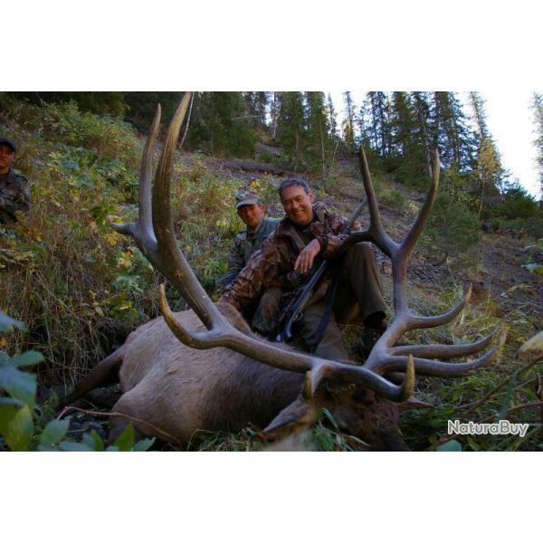 Chasse du Cerf Maral au Kazakhstan