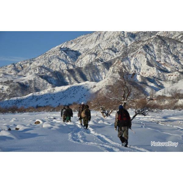Chasse du Sanglier de Montagne au Tadjikistan