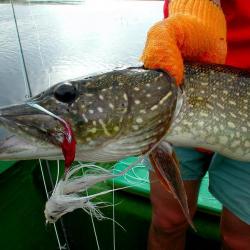 Pêche du Brochet de la Volga au Kazakhstan