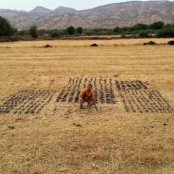 Chasse aux Petits Gibiers au Maroc : tourterelles, bécassines, cailles, perdrix