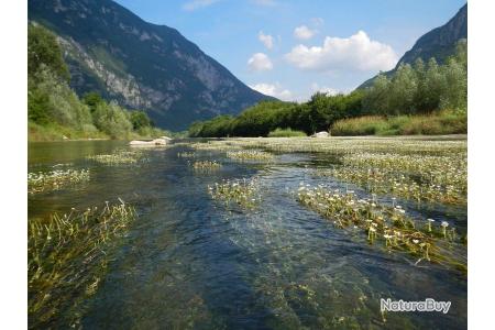 Voyage de pêche à la mouche de la truite en rivières - Italie