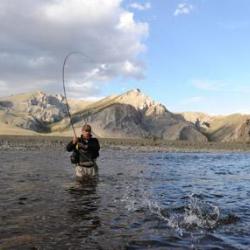 Voyage de Pêche en Mongolie : Truites lenok et ombres