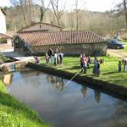 etang truite bornel