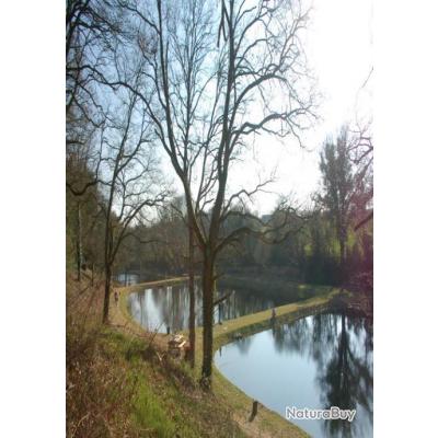 etang peche truite 53