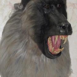 Trophée taxidermie réplique faux babouin