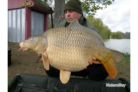 Pêche De La Carpe De Lesturgeon Et Du Silure à La Carrière