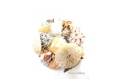 Get Decoration de la maison coquillage For iPhone