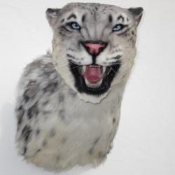 trophée factice réplique taxidermie panthère des neiges