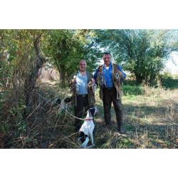 Chasse devant soi aux perdreaux gris sauvages en Macédoine