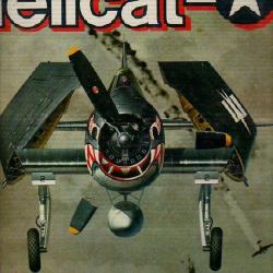 hellcat . watanabé en français .USAAF . US Navy .aviation américaine .