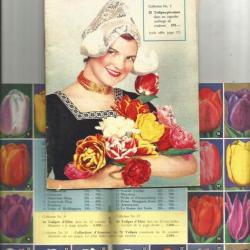 Catalogue hollandais de fleurs 1957 , rare. bulbes et vivaces