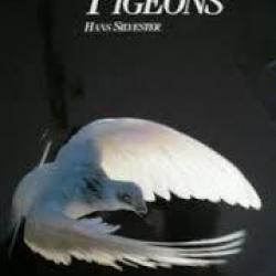 Les pigeons . hans silvester. pigeonnier , colombophile