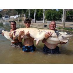 Pêche du Silure en Bateau Espagne-Méquinenza 2024 - 4 jours de pêche 5 nuits