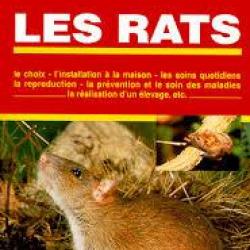 Les rats . élevage. olivier laurent,  choix ,  installation à la maison
