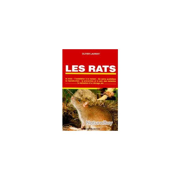 Les rats . levage. olivier laurent,  choix ,  installation  la maison