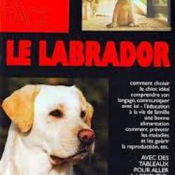 lot livres sur : Le labrador.  de vecchi, collection chiens de race et guide photographique
