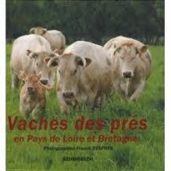 Vaches des prés en pays de loire et de bretagne