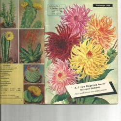 Catalogue hollandais de fleurs 1959 , rare. bulbes , graines .