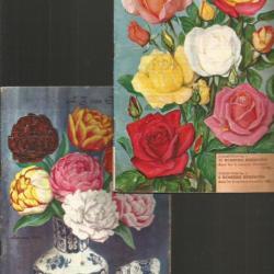 Catalogues hollandais de fleurs 1955 , rare.