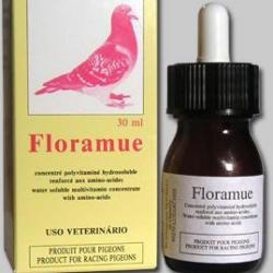 FLORAMUE