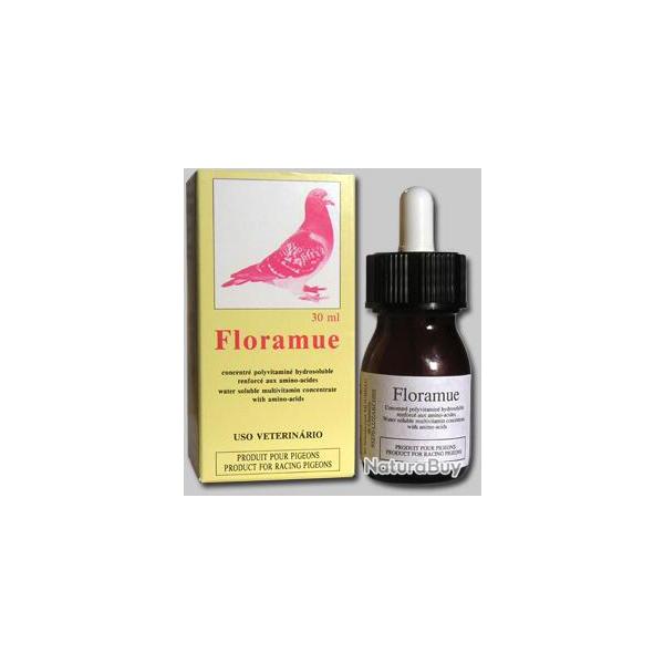 FLORAMUE