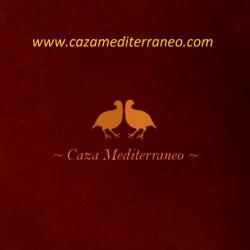 Perdrix rouge Espagne Bas-Maestrazgo Castellon