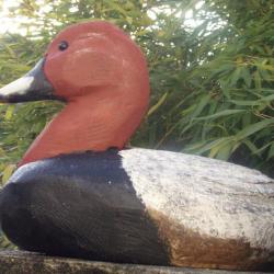 Appelant de canard en bois dit magnum