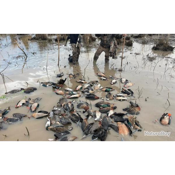 Chasse sur San Javier 2026 ou Fortin Olmos ou en Province de Buenos Aires