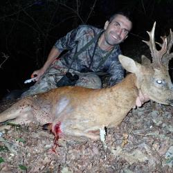 Chasse du Brocard en tir d'été dans le Sud Ouest