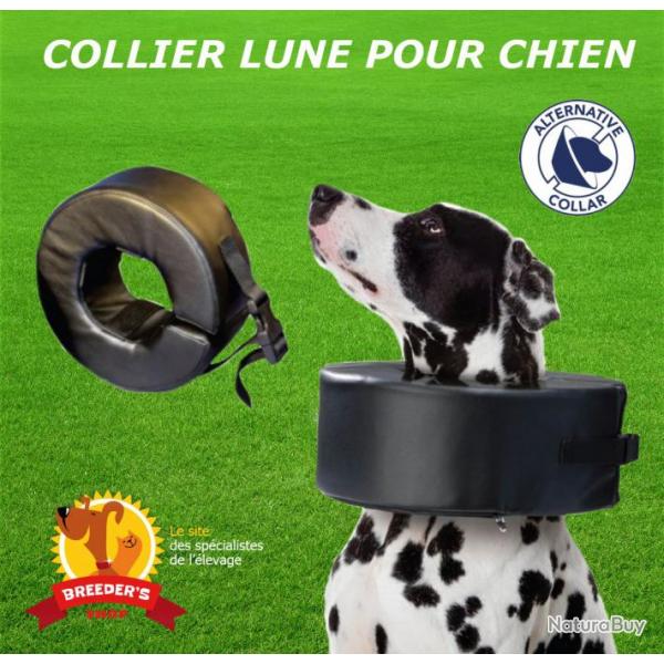 COLLIERS LUNE chien XS