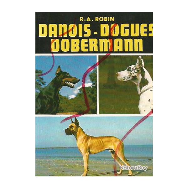 Danois , dogues, dobermann