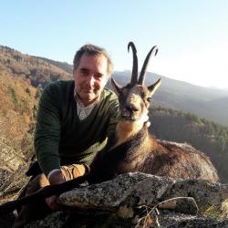 Chasse de l'Isard à l'approche dans les Pyrénées