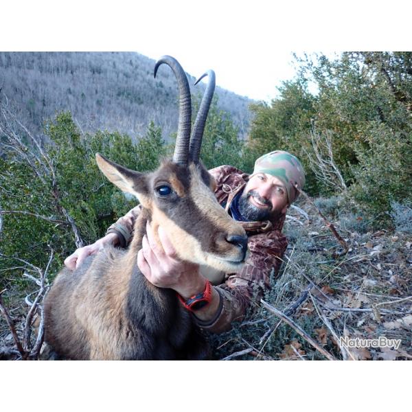 Chasse de l'Isard  l'approche dans les Pyrnes