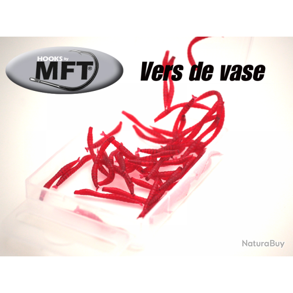 MFT - Appt - Vers de vase