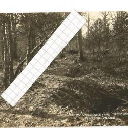 bois belleau aisne cpa , tranchées allemandes . guerre 1914-1918