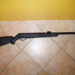 carabine gamo cfx big cat cfs
