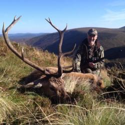 Chasse au cerf en Écosse dans les Highlands.