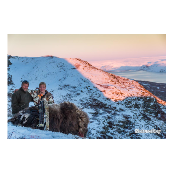 Groenland: Combo boeuf musqu et caribou, tout compris