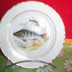assiette décorative poisson d'eau douce , perche