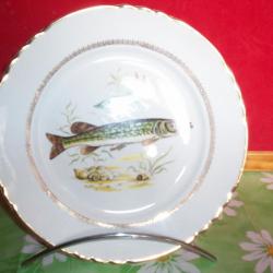 assiette décorative poisson d'eau douce , brochet