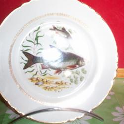 assiette décorative poisson d'eau douce , gardon