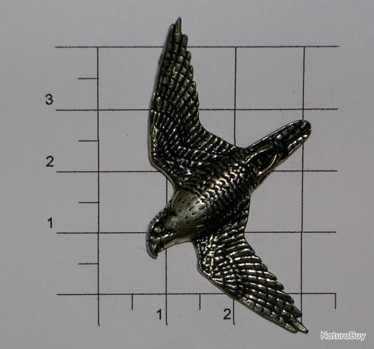 rapace en 5 lettres