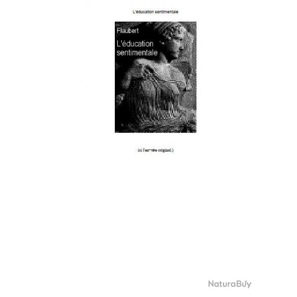 Ebook Livre Action - L'Education Sentimentale (Gustave Flaubert, 2013, 323 Pages)